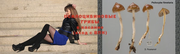 марки lsd Заволжск